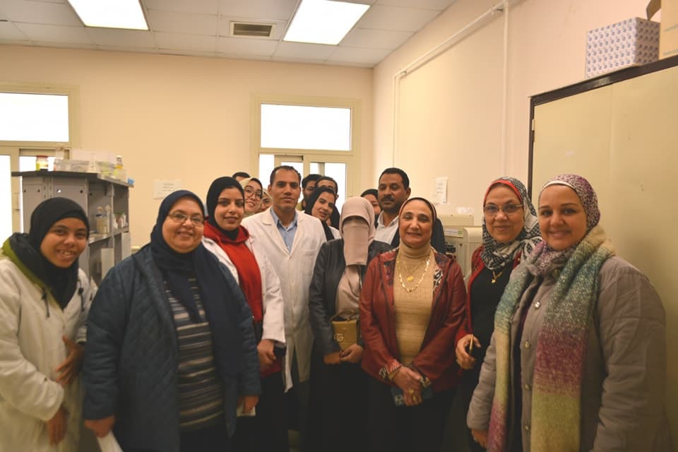 Training Schools for Developing Research and Innovation Skills for Students of Scientific Faculties