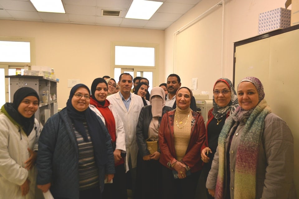 Training Schools for Developing Research and Innovation Skills for Students of Scientific Faculties